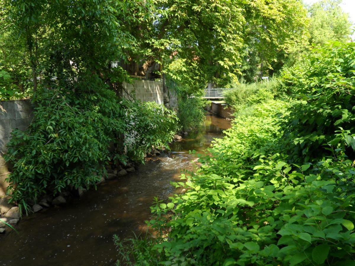 Ferienwohnung Orchidee Germersheim Dış mekan fotoğraf